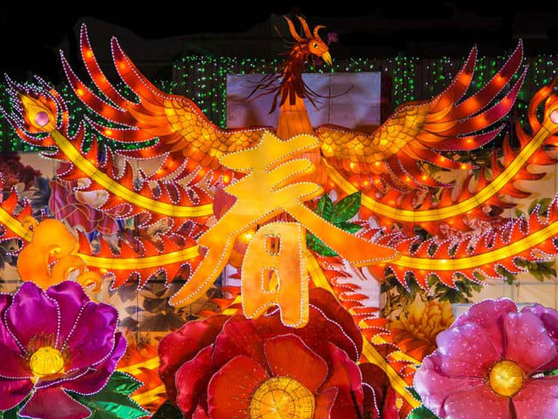 成功案例